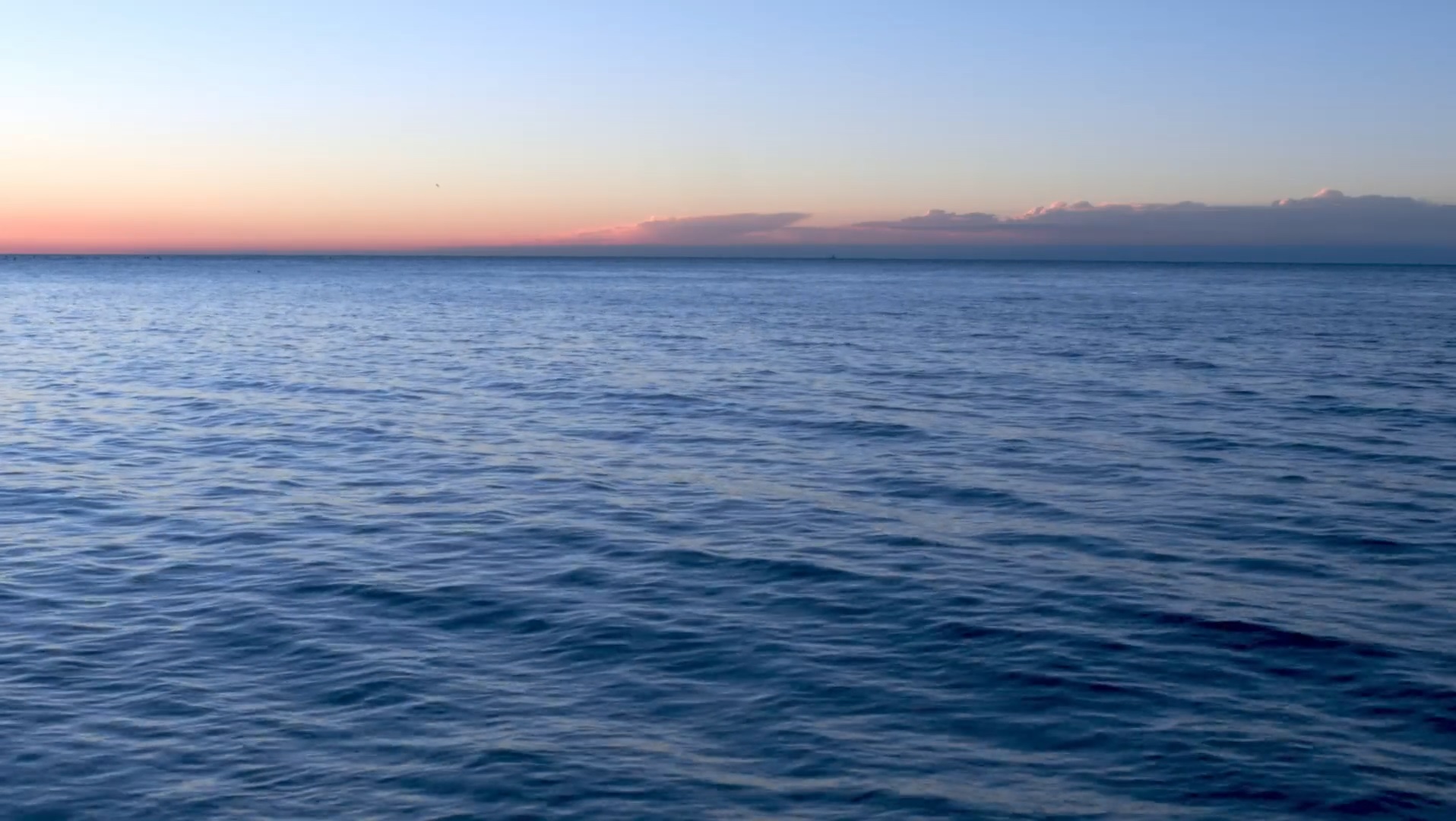 Calm ocean at dusk