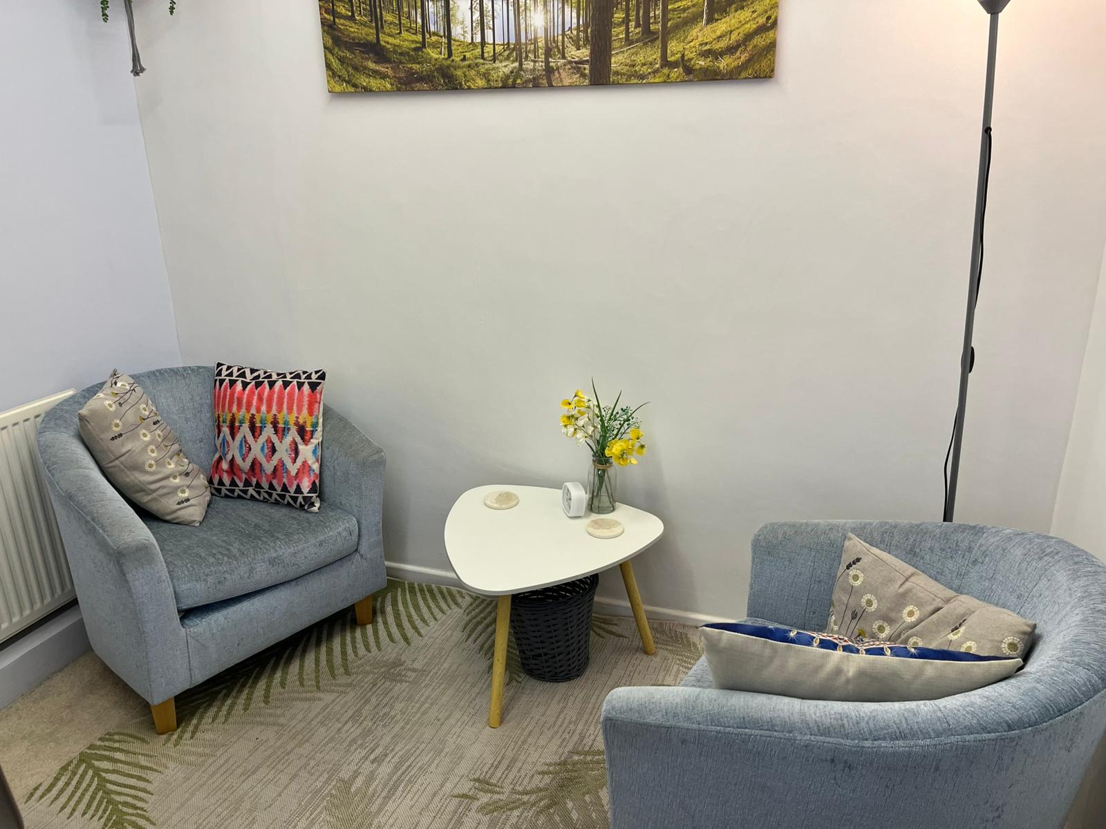 James's therapy room